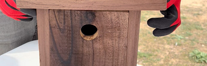 Hi-Bird Building nest boxes for birds